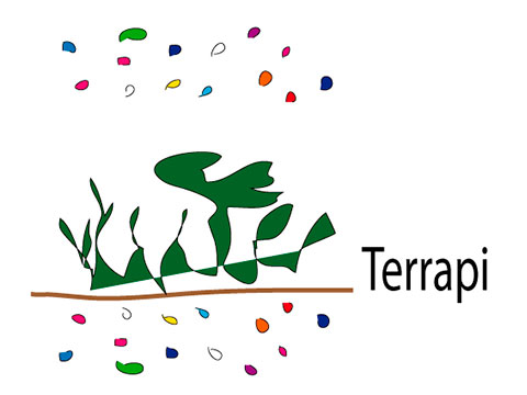 Terrapi